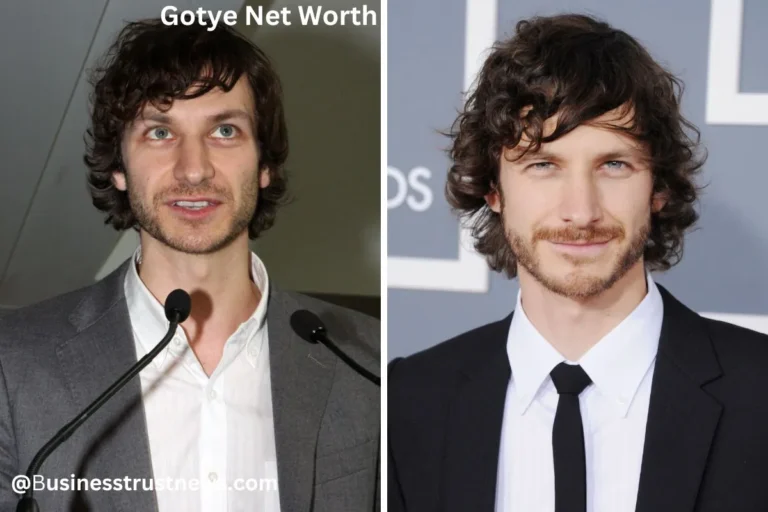 gotye net worth